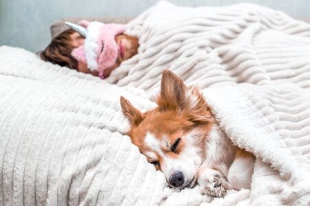 狗狗飼養完整指南：從挑選到日常照顧一次搞懂