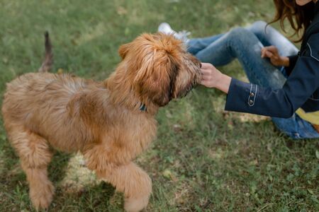飼主責任與鄰里關係維護的重要性