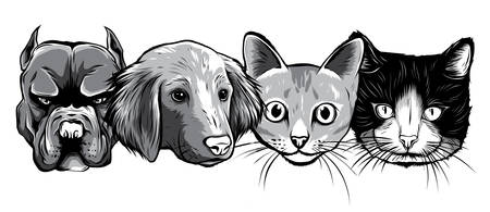 實踐動物福利教育的方法