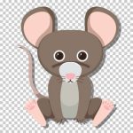 省錢養狗？飼養成本較低的狗狗品種推薦