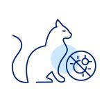 貓狗骨折與扭傷的應急處理與護理計畫