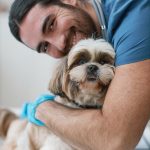 老年犬貓的疫苗計畫與保健重點：如何幫助高齡寵物維持健康？