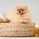 用對工具更輕鬆：洗澡時必備的寵物用品