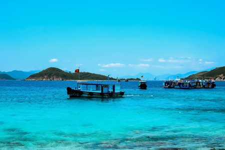 離島寵物友善住宿與旅遊攻略：帶毛孩體驗小島生活