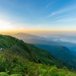 東台灣寵物友善住宿與景點推薦：享受山海美景與悠閒時光