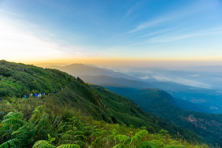 東台灣寵物友善住宿與景點推薦：享受山海美景與悠閒時光