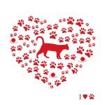民眾如何檢舉遺棄與虐待動物：法律程序與舉報機制